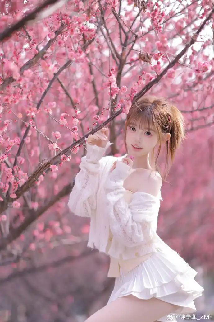 二手车交易平台数据对比图